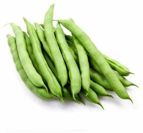 Organic Fresh Green Bean, Packaging Size : 20 Kg