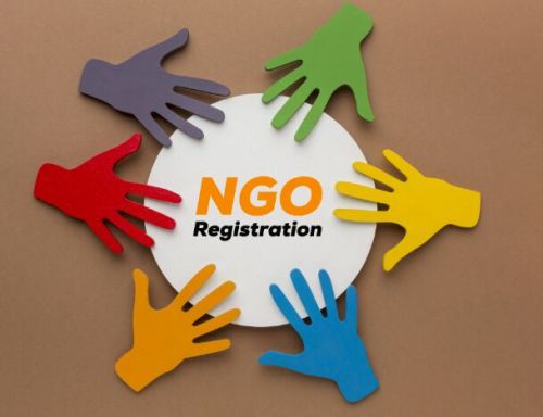 NGO Registration Services