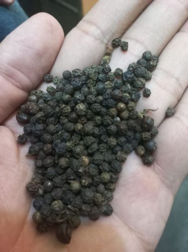Common black pepper, Packaging Size : 100gm, 250gm, 500gm, 50gm