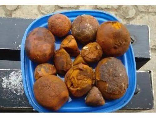 Cow Gallstones, Brand Name : MINI CAM AGRO INDUSTRIAL