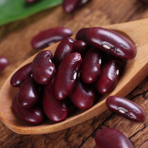 Common Red Kidney Bean, Packaging Size : 10kg, 20kg