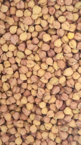 Common Kala Chana, For Cooking, Grade Standard : Food Grade