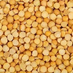 Common Matar Dal, For Cooking, Specialities : Good Quality
