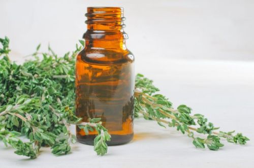 Liquid Common Thyme Oil, For Medicines, Purity : 99%