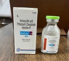Amoxicillin and Potassium Clavulanate Injection, Packaging Type : Glass Bottle