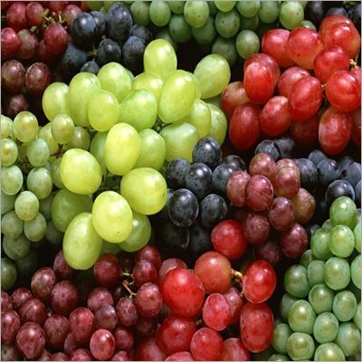 Organic Fresh Natural Grapes, For Human Consumption, Certification : FSSAI Certified