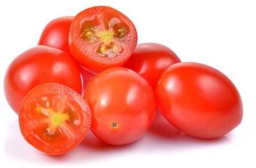 Red Fresh Organic Tomato, For Cooking, Style : Natural