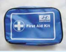 Blue Rectangular Medium Automobile First Aid Kit, For Medical Use, Size : Standard