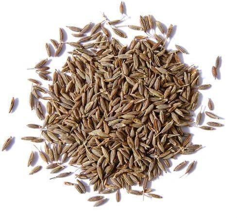 Common Cumin Seeds, For Cooking, Certification : FSSAI Certified