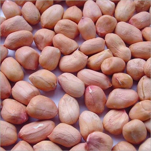 Common Groundnut Seeds, For Cooking, Food, Shelf Life : 4-6 Months