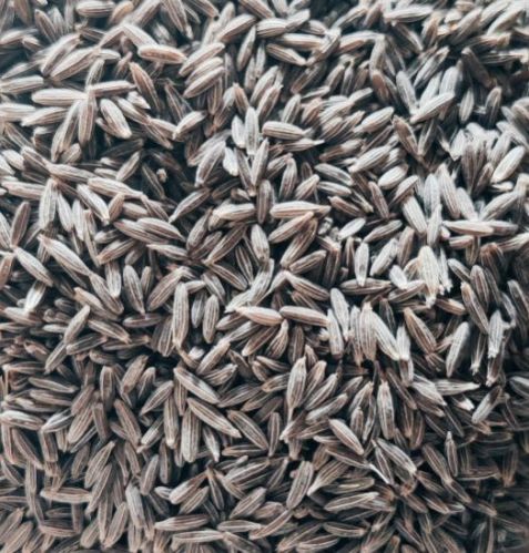 Organic Cumin Seeds, Packaging Type : Plastic Packet