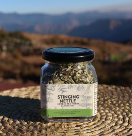 100% Nature Natural Stinging Nettle Herbal Tea, For Help Prevent Cell Damage, Improved Brain Function