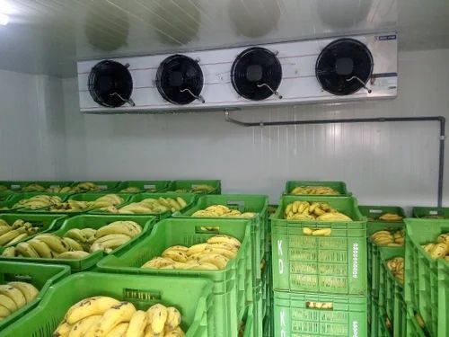 Electric Banana Ripening Chamber, Automatic Grade : Automatic