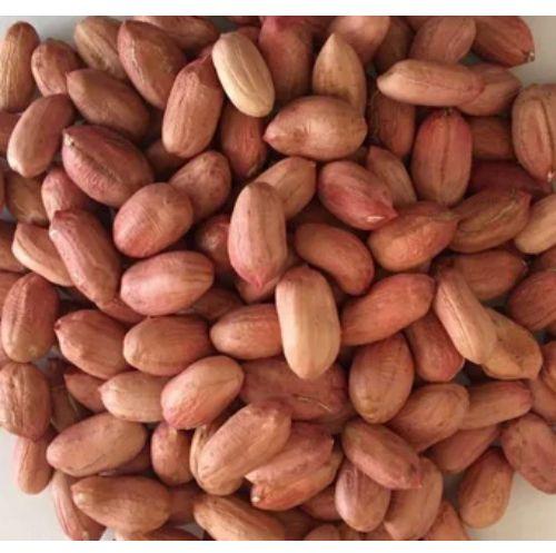 G20 Bold Groundnut Seeds For Oil, Packaging Size: 50 Kg