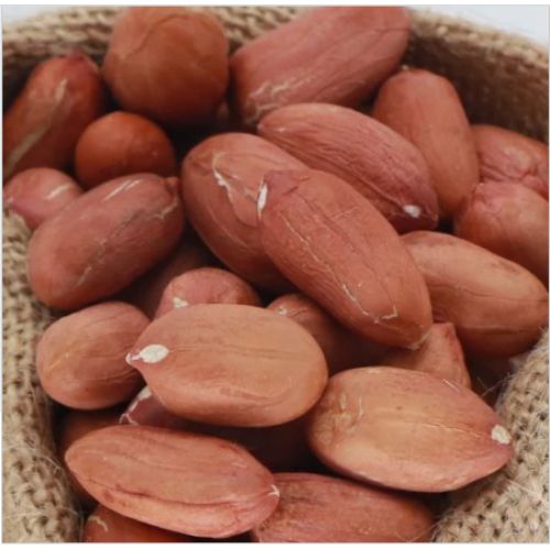 Natural Indian Groundnut, Brand Name : PIYALI AGRO FOOD Varies