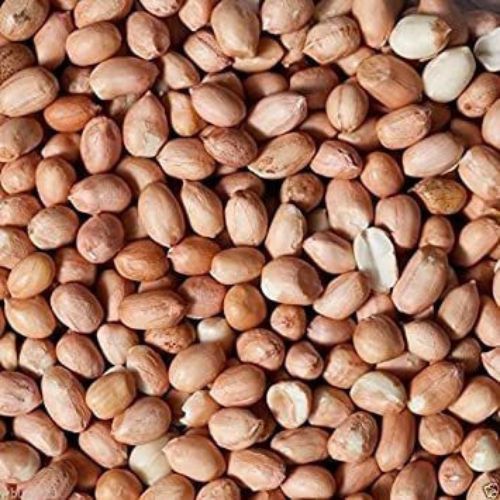 Indian Origin Groundnut Kernels Java 50/60, For Butter, Cooking Use, Making Oil, Grade : 50-60 Count