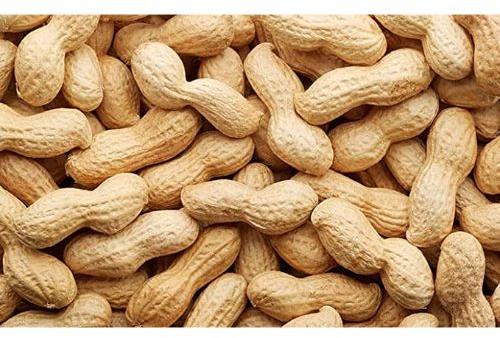 Original Raw Peanut Kernels (moongaphalee), For Butter, Cooking Use, Making Oil, Packaging Type : Jute Bag