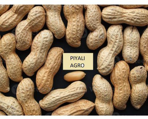 Raw Vietnam Peanut (Groundnut / Kacang Tanah Vietnam)