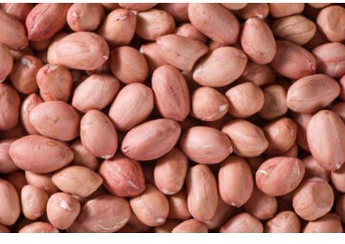 Regular Common Runner Raw Peanut, For Roasting, Baking, Confectionery Etc., Grade : High-quality Grade