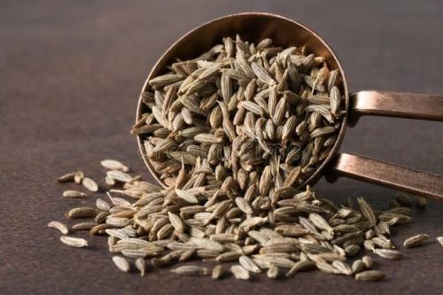 Raw Natural Cumin Seeds, Grade Standard : Food Grade