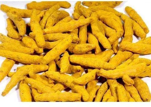 Dark Yellow Raw Common Fresh Turmeric Finger, For Cooking, Spices, Grade Standard : Food Grade