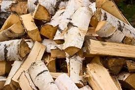 Birch Firewood, For Generating Energy, Feature : Environment Friendly, Sturdiness