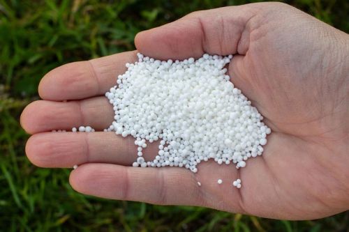 Calcium Nitrate Fertilizer, Purity : 100%