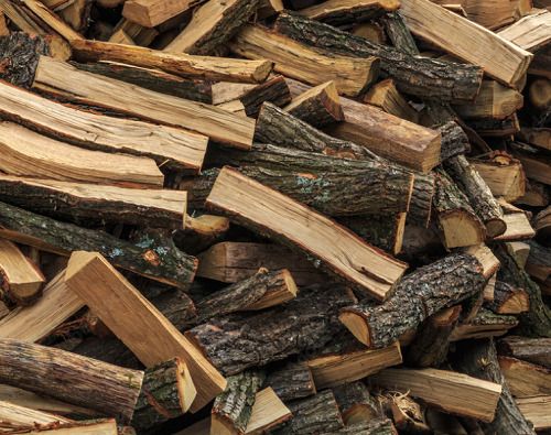 Oak Firewood, For Burning Use, Fuel Purpose, Length : 25-30cm