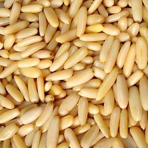 Pine Nuts, Shelf Life : 12 Months