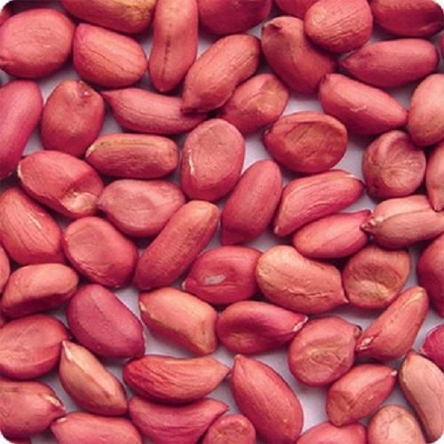 Organic Red Peanuts, Shelf Life : 1Year