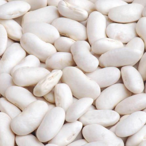 Organic White Kidney Beans, Shelf Life : 1Year