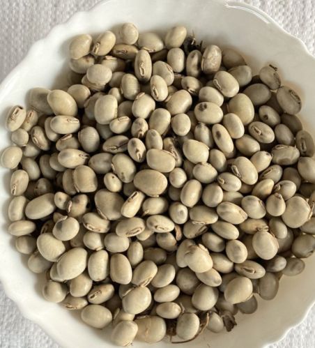 Organic Kaunch Beej White