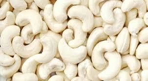 Cashew Nuts, Feature : High In Protein