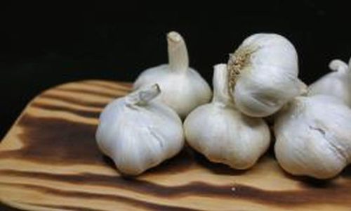 Organic Fresh Garlic, Packaging Type : Plastic Bag