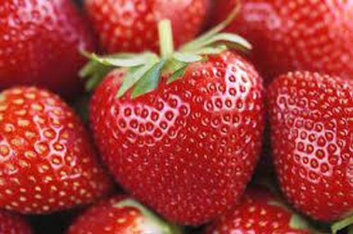 Common Fresh Strawberry, For Home, Hotels, Eating, Packaging Type : Plastic Box