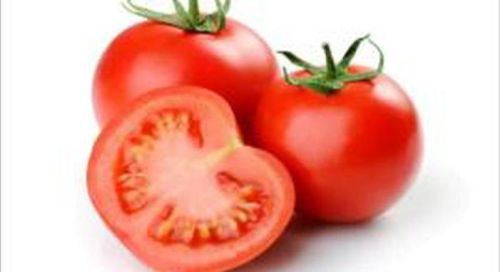 Organic Fresh Tomato, For Cooking, Skin Products, Packaging Type : Plastic Crates