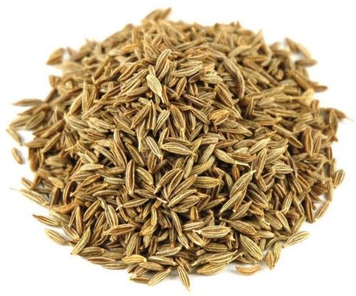Raw Common Cumin Seeds, Grade Standard : Medicine Grade