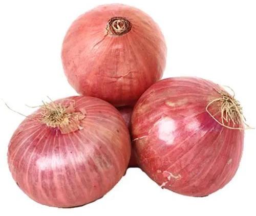 Pink Organic Fresh Onion, For Snacks, Fast Food, Cooking, Packaging Type : Plastic Bags