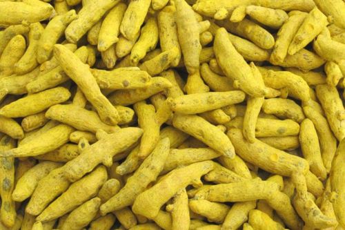 Natural Yellow Turmeric Finger, For Cooking, Spices, Food Medicine, Cosmetics