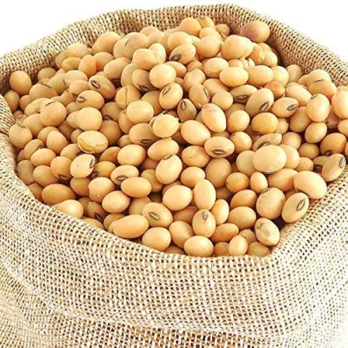 Organic soyabean, Color : White, Packaging Type : Plastic Bag
