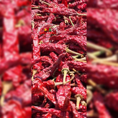 Red Granules Byadgi 2043 Chilli, For Spices, Packaging Type : Gunny Bag