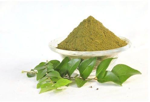 Green Organic Dehydrated Curry Leaves Powder, For Cooking, Style : Dried