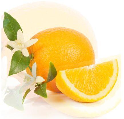 BITTER ORANGE ESSENTIAL OIL