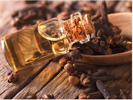 CLOVE LEAF ESSENTIAL OIL