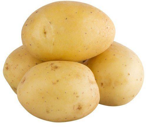 Brown Round Organic Fresh Regular Potato, For Human Consumption