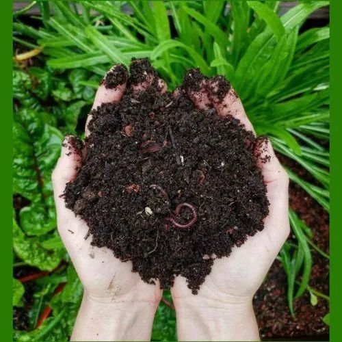 Poultry 50kg Organic Vermicompost, Color : Black-brown