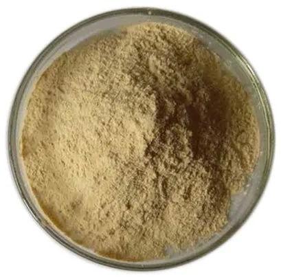 Brown Powder Protease Enzyme, For Food Industries, Packaging Type : Plastic Bags