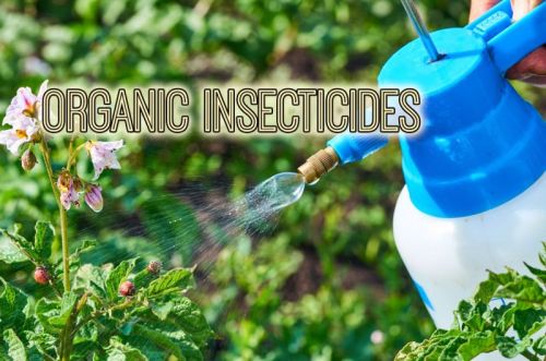 Insecticides, Grade : A