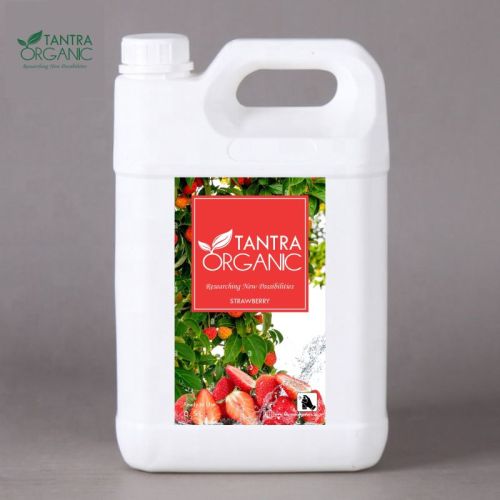 Strawberry Room Freshener, Packaging Size : 5 Ltr.