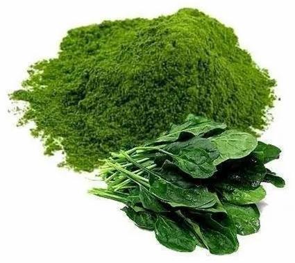 Green Organic Dehydrated Spinach Powder, For Cooking, Packaging Type : Plastic Packet